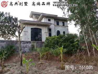 广东省高州市石仔岭街道石仔岭塘营村别墅简单别墅效果图